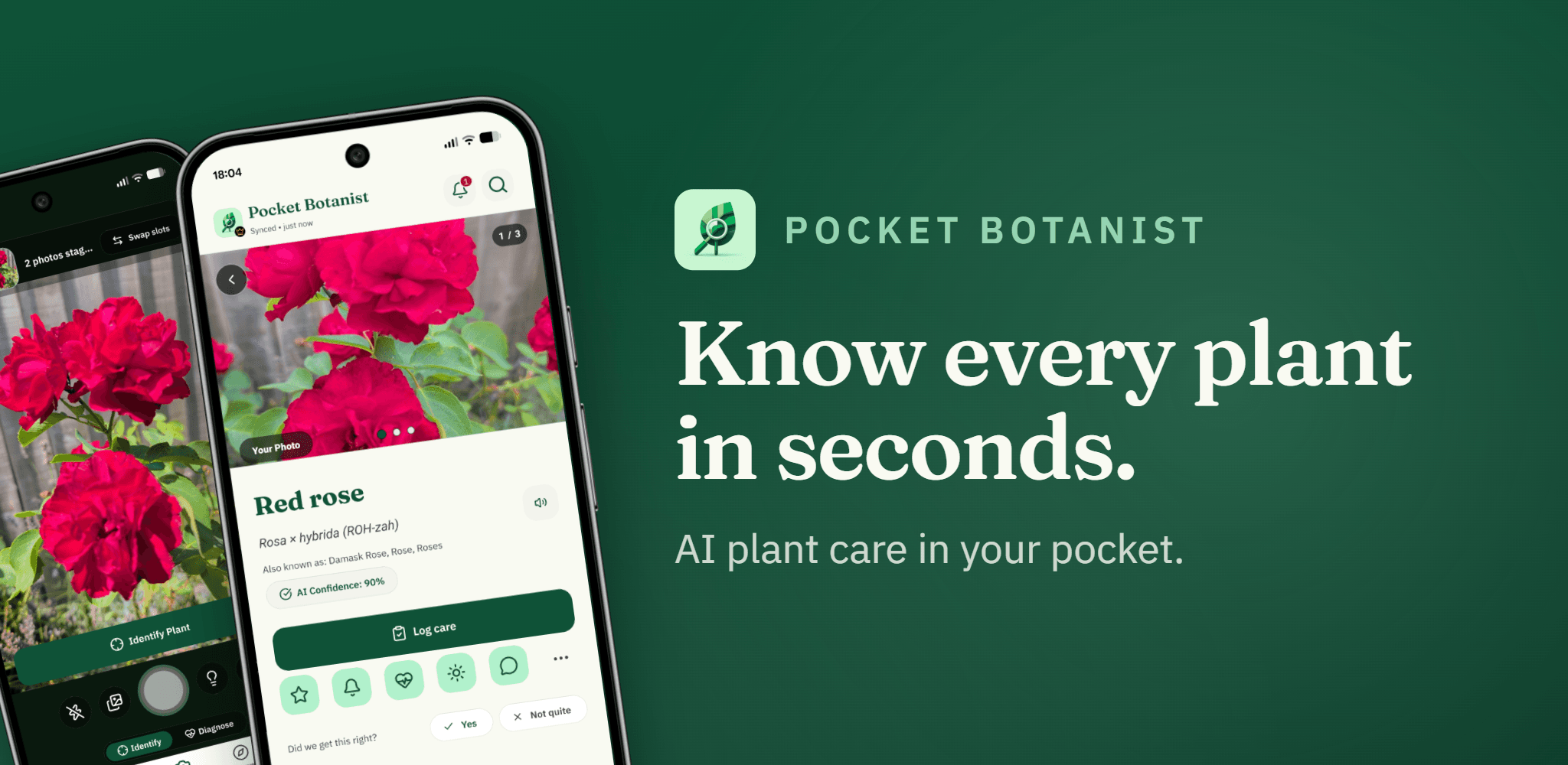 Pocket Botanist showing a plant identification result for a red rose